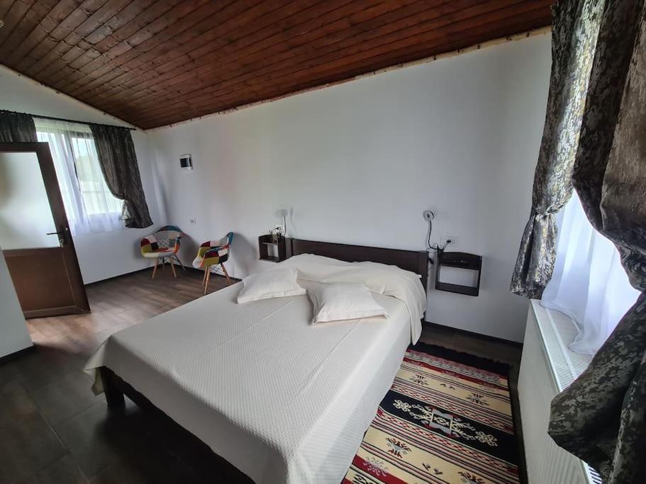 Cabana Bujor De Munte Rîşnov エクステリア 写真