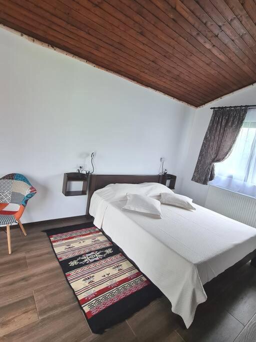 Cabana Bujor De Munte Rîşnov エクステリア 写真
