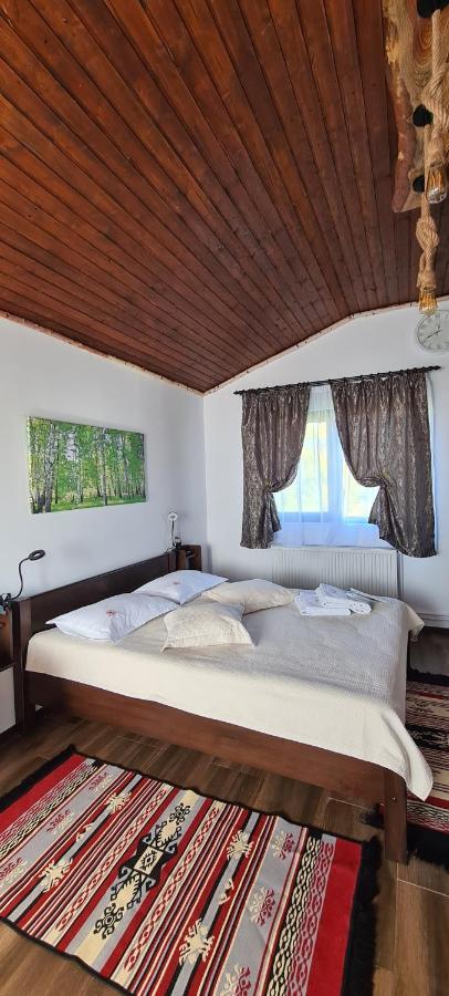 Cabana Bujor De Munte Rîşnov エクステリア 写真