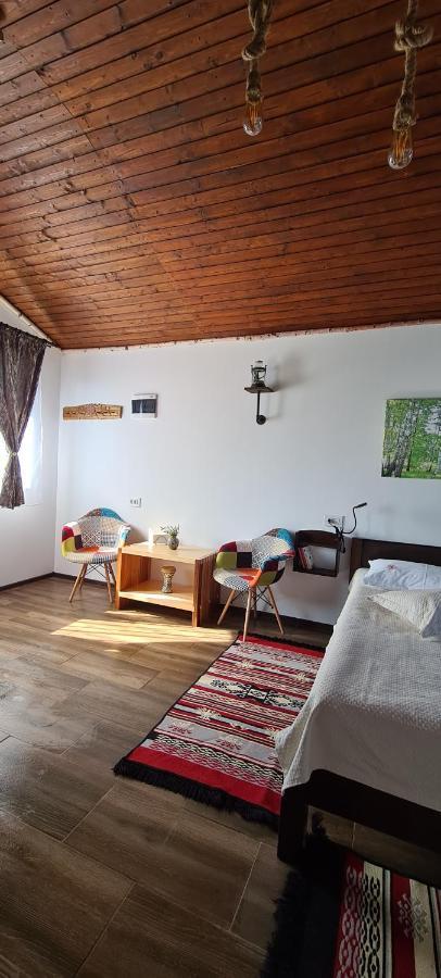 Cabana Bujor De Munte Rîşnov エクステリア 写真