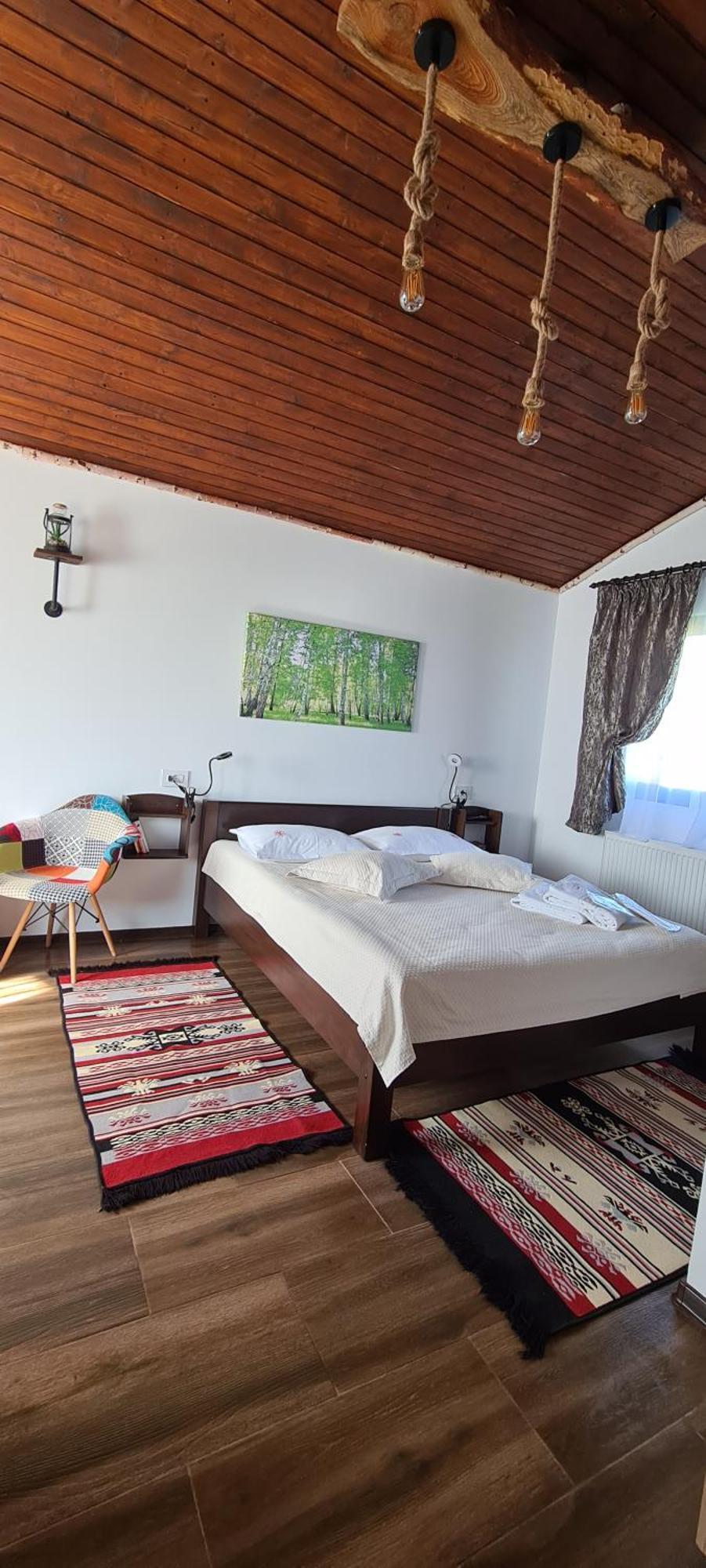 Cabana Bujor De Munte Rîşnov エクステリア 写真