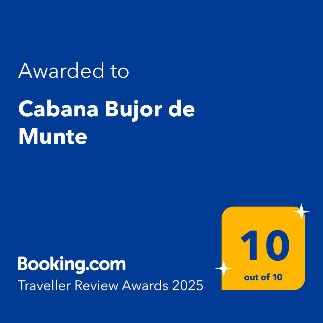 Cabana Bujor De Munte Rîşnov エクステリア 写真