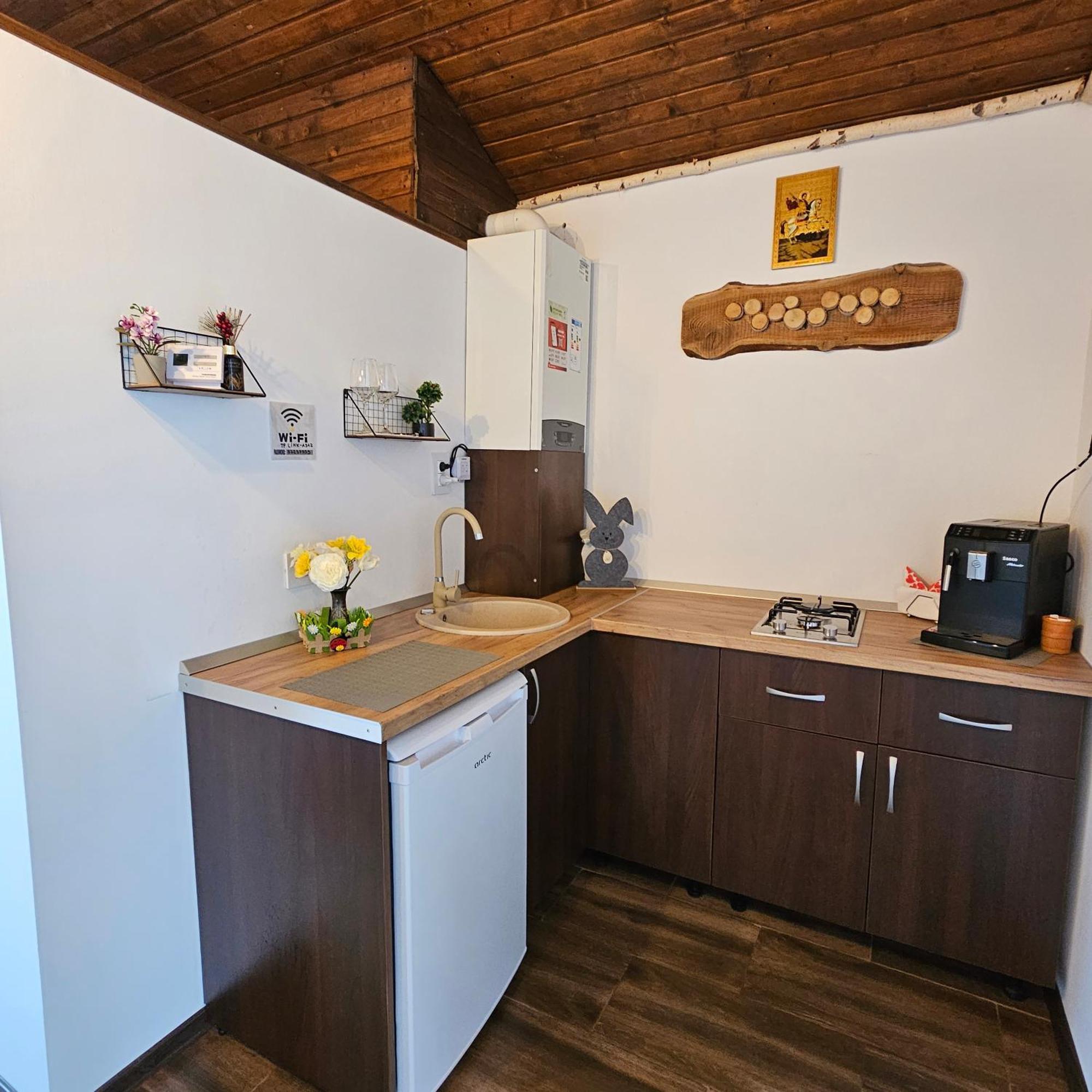 Cabana Bujor De Munte Rîşnov エクステリア 写真