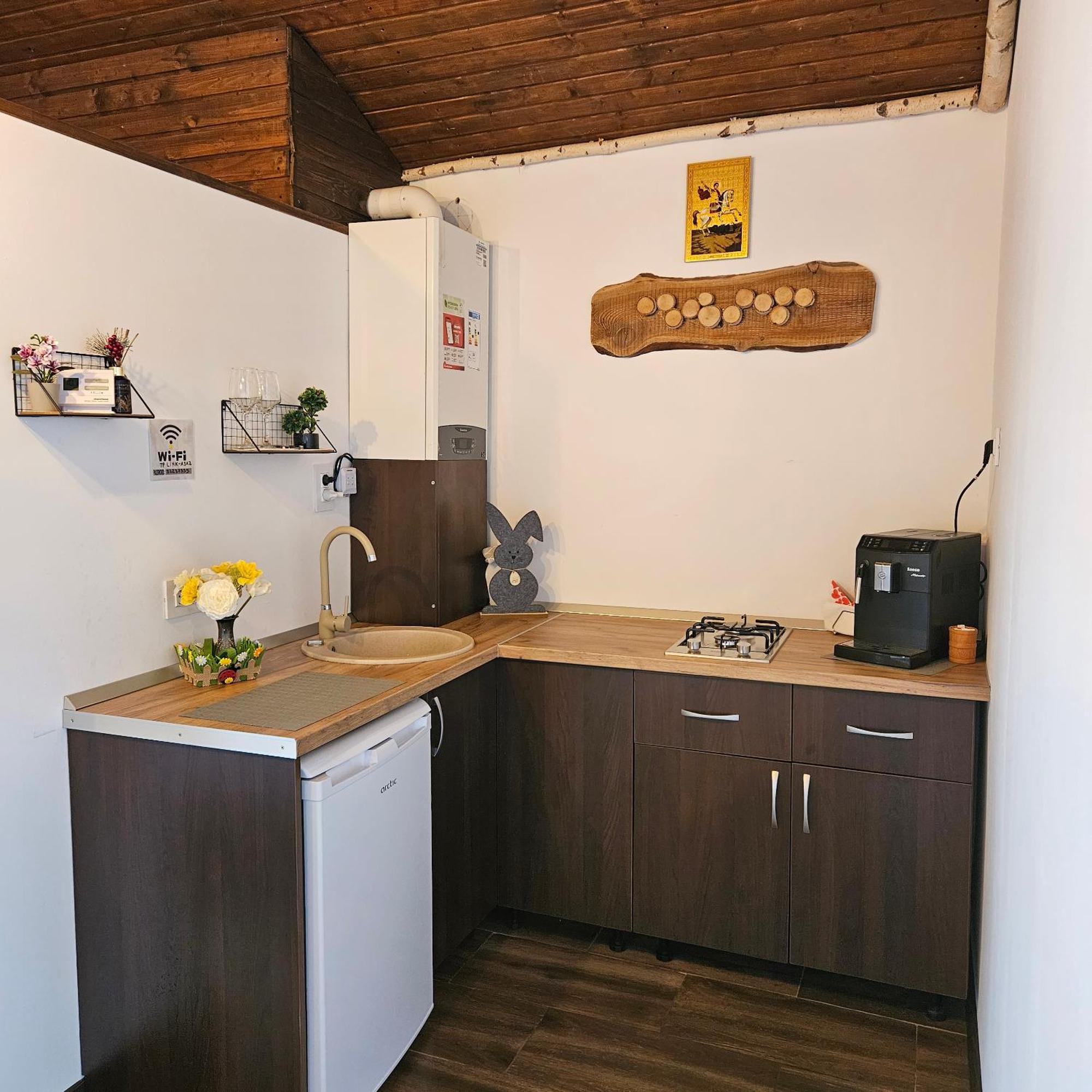 Cabana Bujor De Munte Rîşnov エクステリア 写真
